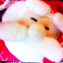 yano (@02853121) Twitter