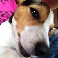 Lennox (@o_olennox) Twitter profile photo