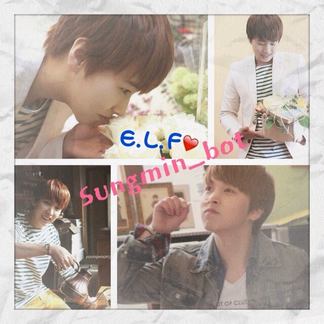 sungmin_bot Profile Picture