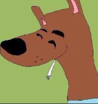 Komo jeje korro jeje dubidubidu jeje xagi tqm hamigo x smpre. Dafneh puta, belma friqui, fret gei. Kaximva wenaaaa