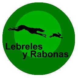 Todo Sobre la Caza con Galgos