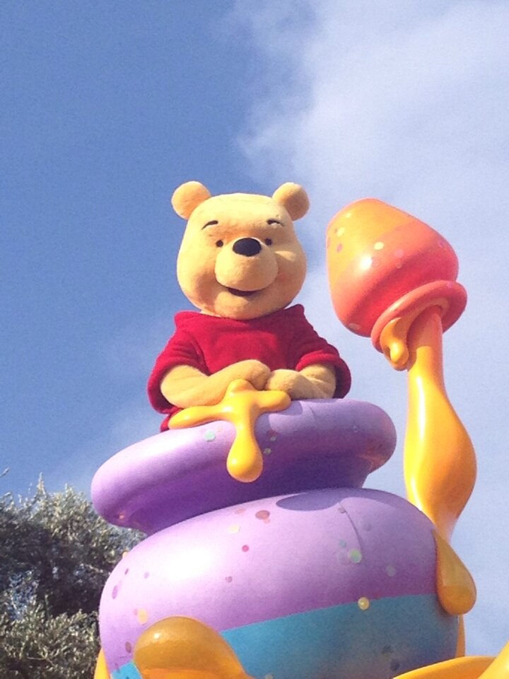 324cswooo's profile picture. MWU