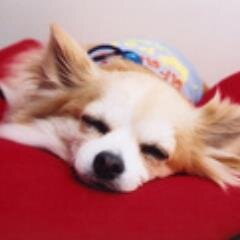 社会人一年目で社会にもまれています。何か感じたことや趣味のサッカーについてツイートしますのでよろしくお願いします。相互フォロー致します。