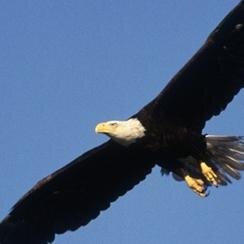 wlaltjd's profile picture. 눈앞에 보이는 현실도 보지 못  하면서 눈에 보이지 않는 진실을 찾는다는 자들