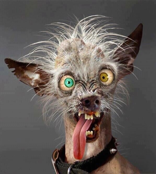 SinitsinaS's profile picture. Женщина думает один, максимум, два раза в сутки. Все остальное время она вновь и вновь переживает то, что надумала…