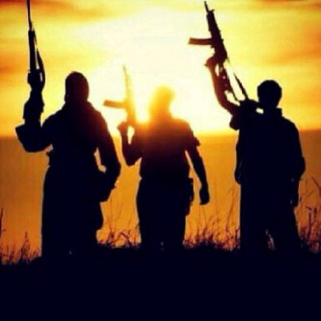 Asdohz2's profile picture. 