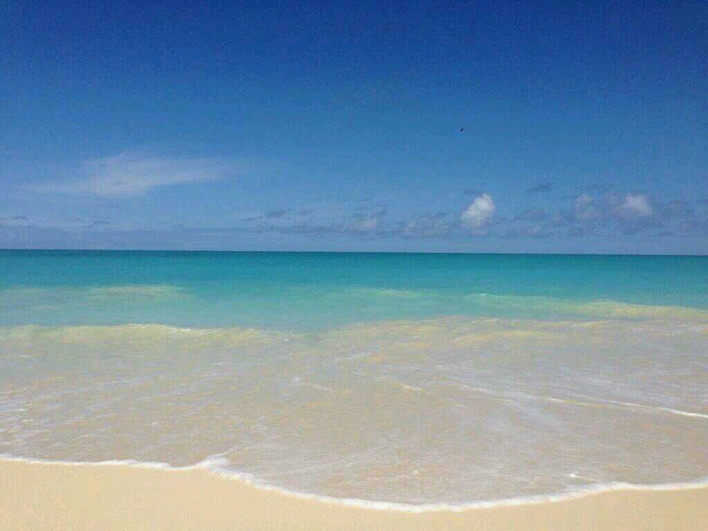 sky09sun07sea05's profile picture. 食べること大好き(＊ﾟ∀ﾟ)