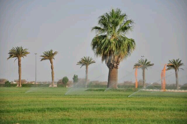 #استثمر_في_الأفلاج #صور_الأفلاج #مشاريع_الأفلاج