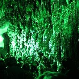 woowao2's profile picture. 日本ハムファイターズとチワワを愛する道産子です!!