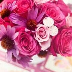 Free Follow