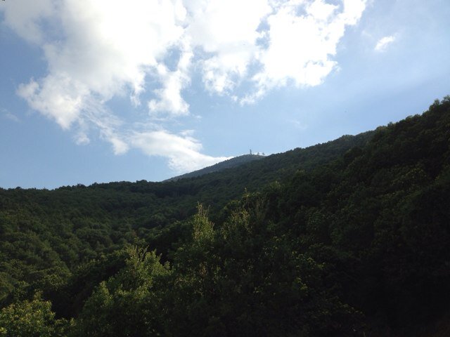 VitoRosa05's profile picture. 