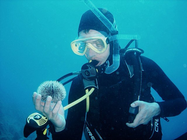 BerenthSchou's profile picture. 