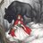 Lil Red Riding Hood