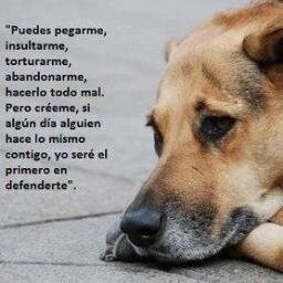 El unico momento que existe realmente es el ahora, todos los demas son imaginarios