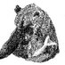 The Hungry Bear (@hungrybearleeds) Twitter profile photo