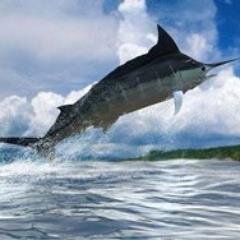 GianpieroDelFia's profile picture. Orafo ed incastonatore