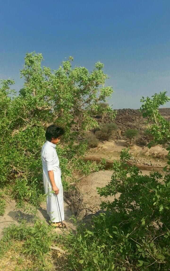 ‏اعشق التصوير♥♡