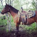 Drew Benton - @DrewMP243 - Twitter