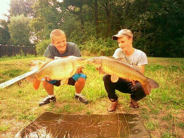 verliefd /19-10-13 / home is the carpplace /