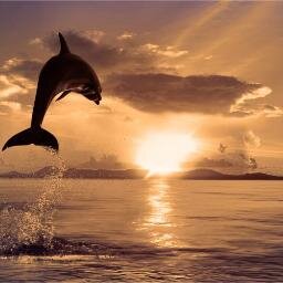 yiury's profile picture. 