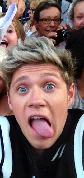 por que fui pesquisar sobre esses tais de one direction