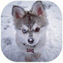 Hailey Cox - @loveempior - Twitter