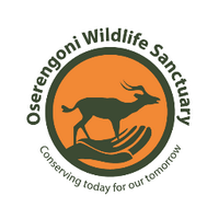 Oserengoni Wildlife (@oserengoni) 's Twitter Profile