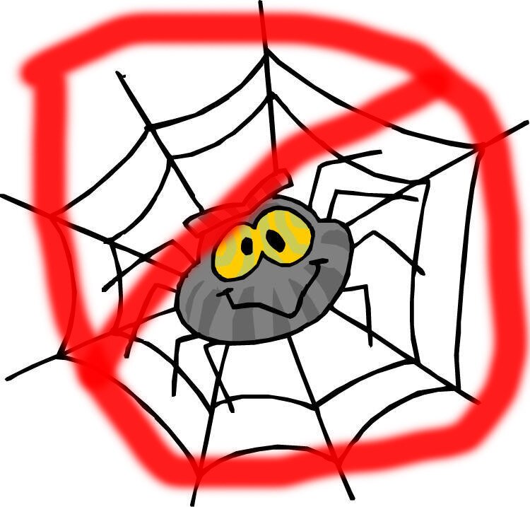i dislike spiders and you should too