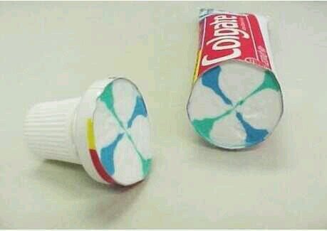 Fascinating pictures of things cut in half
