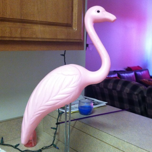 Resident of 1224 Ivy