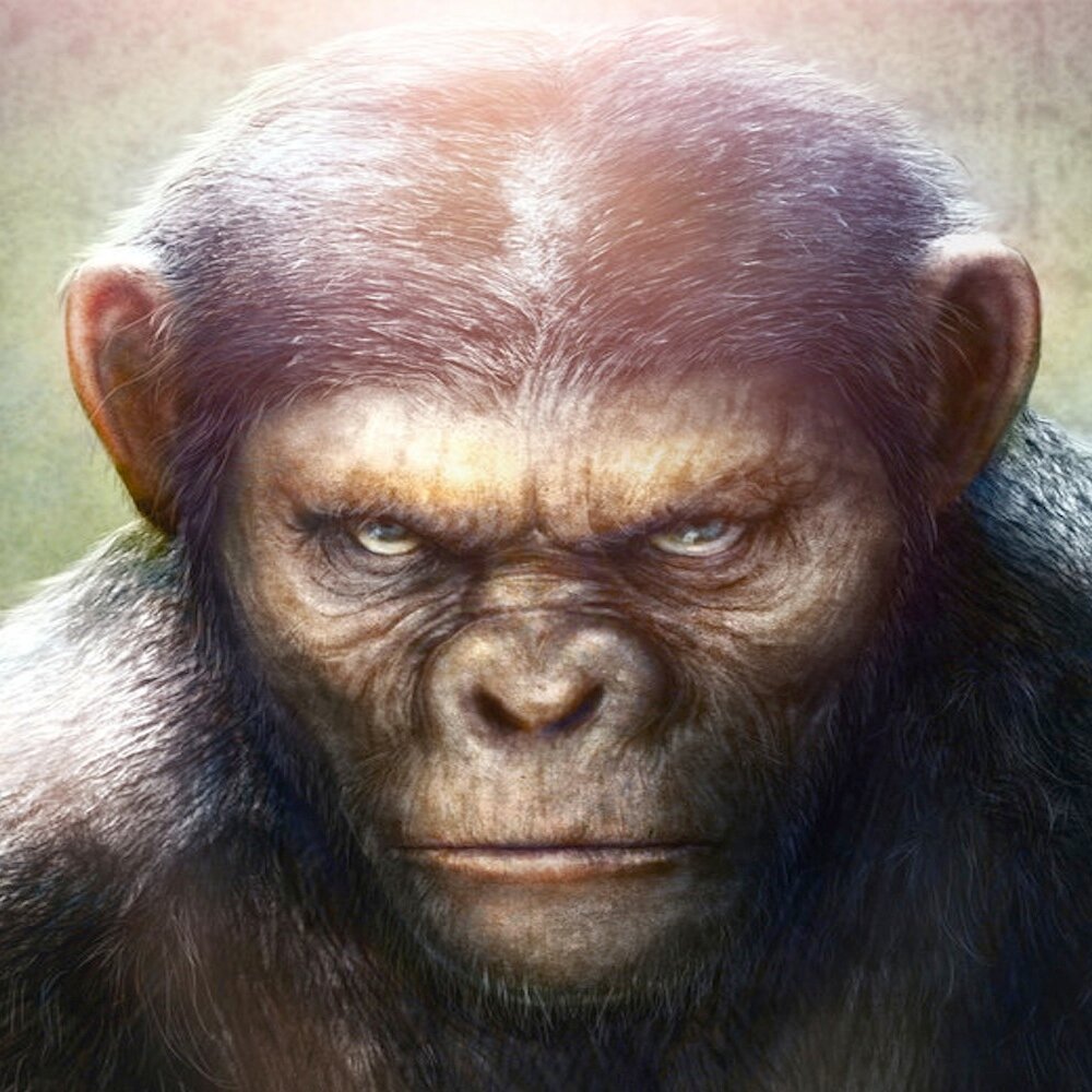 Independent Record Label based in Manchester, United Kingdom - Tough Monkey Records (TMR). Founders: Jon Brooks & Clive Farrington.
