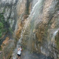 Protein ❤ Memecoin (@lloyd_tanner) 's Twitter Profile