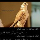 شاعر الاحساس (@0509797468) Twitter