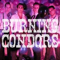 BurningCondors (@burningcondors) 's Twitter Profile