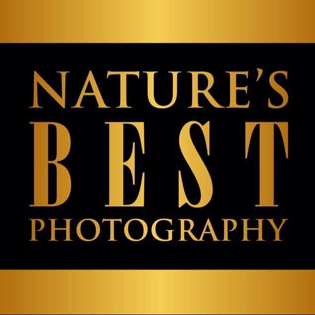 The Official X feed of Nature's Best Photography Awards and publications. Photo © Peter Coskun / NBP Awards #naturesbestphotomagazine
