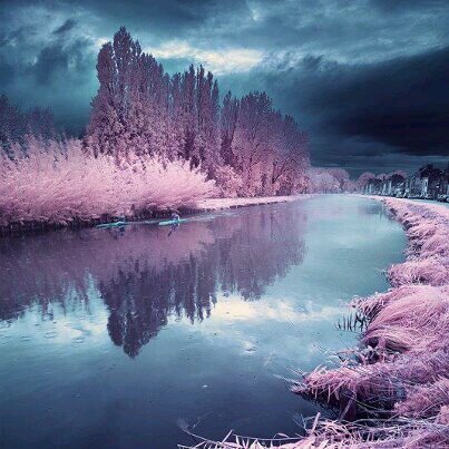 rianomino2012's profile picture. 