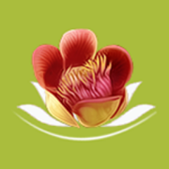 quanbode's profile picture. 