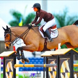 worthlesseq's profile picture. here's to those equestrians who feel worthless