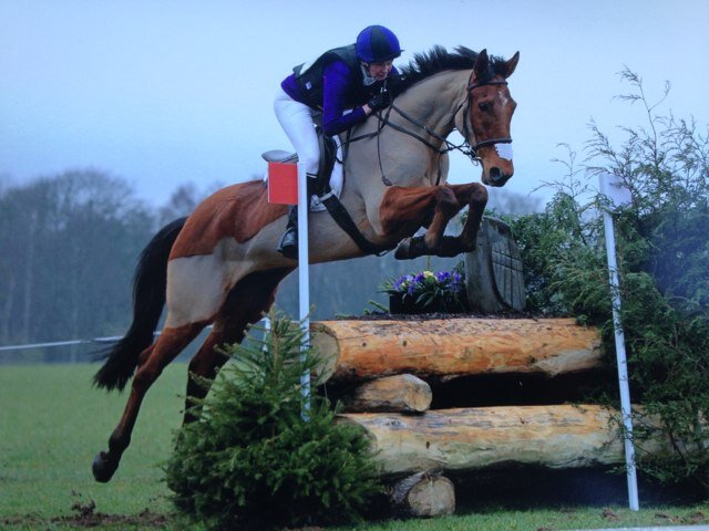 dizzywhizzyyvie's profile picture. 