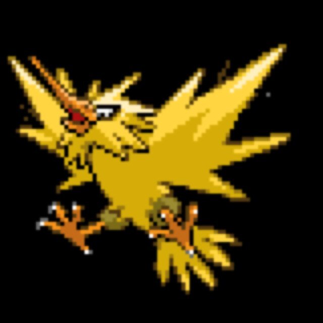 The legendary pokemon of lightning. Part of the bird trio. ZAP! Moves: drill peck, fly, shock wave, and thunder bolt