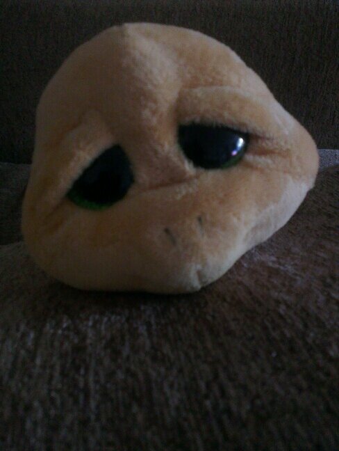 helenville's profile picture. 