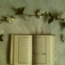 أريج (@00Rojeena) Twitter