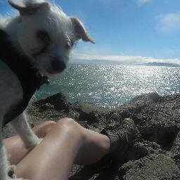 I'm short, pale, sarcastic as all hell, and have tattoos...yep, that's me in a few words ;-) Beware: gratuitous dog photos and tweets!