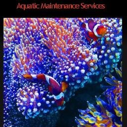 Fish Tank Maintenance, Pond Maintenance, Fish Keeping Advice Experts