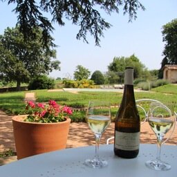 Kuijtzelf's profile picture. Man van Rosalie, papa van Fedde en Nora