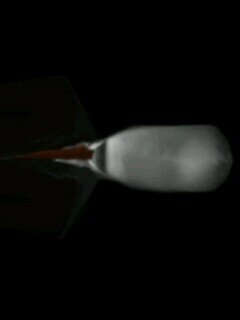 Secuestrando desde tiempos inmemorables. Cuando Te Mate No Te Quejes. Ghost's are real
