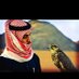 شاعر البدر ! (@sha3eralbader0) Twitter profile photo
