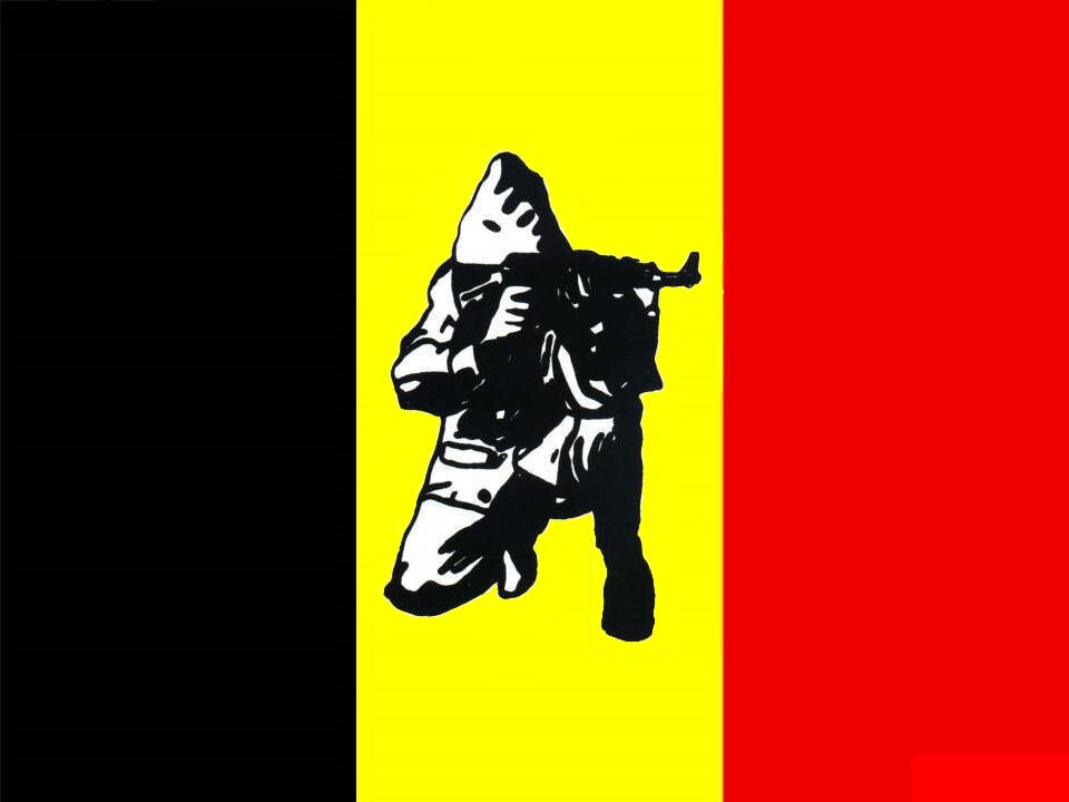 for Belgium and Europe / the Walloon language and culture / from Fac. Namur - UCL - RU Utrecht