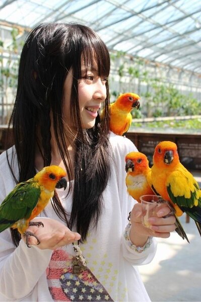 Roleplayer of Takayanagi Akane (Churi) | SKE48 | 91L | MINAMIRoNoCro ♥ | #48FamilyRP | #3PONI w/ @renaampme @JurinaSKE_Xx | nyoroshikuw!! :3