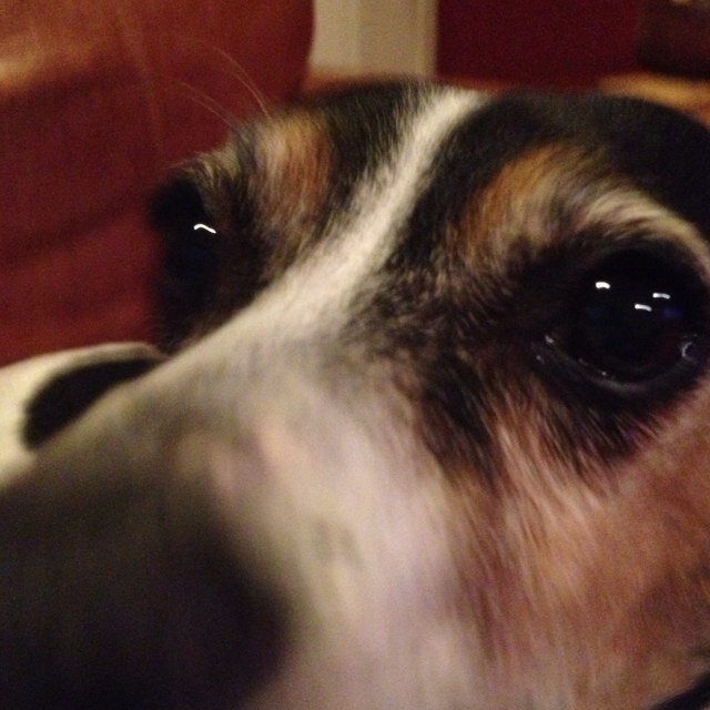 amelasay's profile picture. 